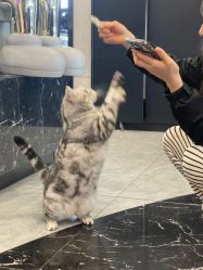 -TOP HAIR SALON