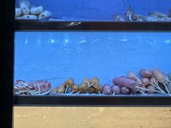 -哈尔滨小酒馆·鲜肉现穿自助烧烤(康新花园店)