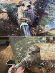 -Zoolung Zoolung动物主题公园(海信广场店)