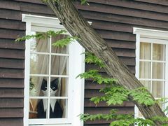 -三鹰之森吉卜力美术馆