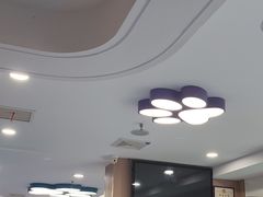 -天使宠物医院·犬猫分诊(彩虹店)