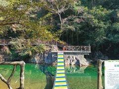 -龙湾潭国家森林公园