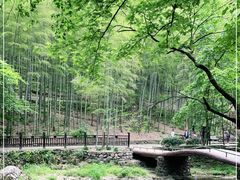 -五泄景区
