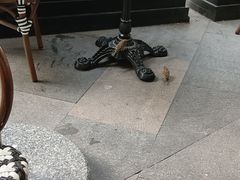 -粤域茶餐厅