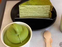 -雪绿茶博物馆