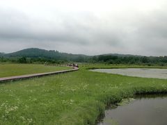 -御道口草原森林风景区