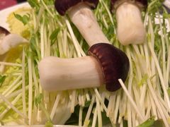 -牛YO寿喜烧·铁板烧和牛火锅自助(市府恒隆店)