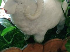 -九府羊鲜羊火锅·烧烤(任丘东风美食街店)
