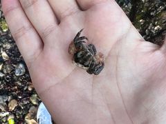 -大连老虎滩海洋公园