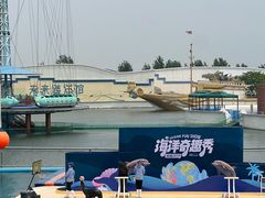 -秦皇岛乐岛海洋王国