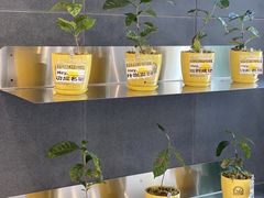 -四叶咖咖啡(昆明恒隆PRO店)