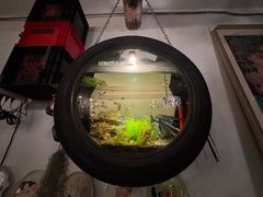 -陶野咖啡·面包披萨