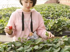 -甜心庄园·甜心草莓采摘园(西青中北店)