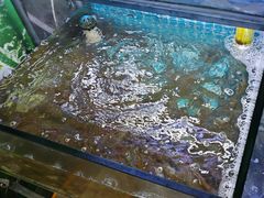 -面道赞宁海海鲜面(迎凤街店)