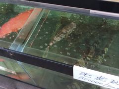 -国际金钻海鲜餐厅