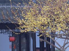 -南京市民俗博物馆(甘熙宅第)