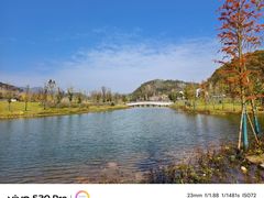-千年银杏谷文化旅游区