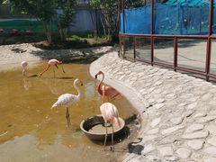 -齐齐哈尔龙沙动植物园