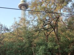-青岛中山公园-索道售票处
