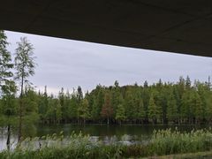 -白鹭湾湿地公园