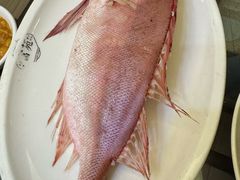 -吴记富苑(朝阳店)