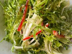 凉拌苦菊-有奴思烤肉·清真(正宁路店)