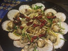 -鲁前海沿儿