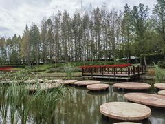 -东平国家森林公园