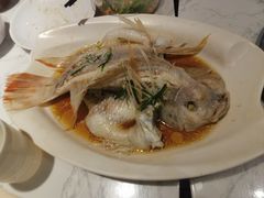 -T11生鲜超市(朝阳公园店)