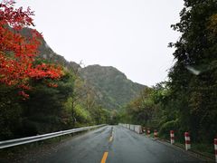-秦岭风景区