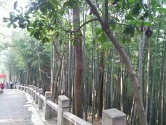-灵岩山风景区