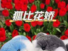 -南山植物园