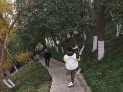 -幕燕滨江·燕子矶公园