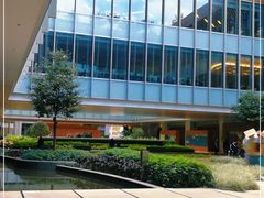 -香港大学