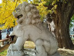 -北京石刻艺术博物馆(五塔寺)