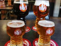 -Boxing Cat Brewery拳击猫精酿啤酒馆(永福店)