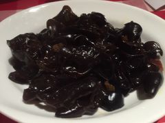 黑木耳-西贝(上海我格广场店)