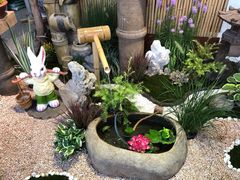 -双季花艺园艺市场(浦东店)