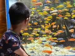 -太平洋海底世界