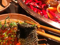 -辣伍鲜毛肚老火锅(元一店)