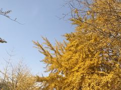 -辽宁大学(崇山校区)