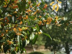 -白塘生态植物园