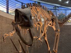 -国家自然博物馆