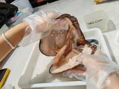 -十八字金银饰·拼豆·开蚌手工体验团建(君太百货店)