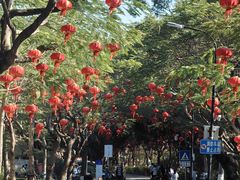 -厦门大学(思明校区)