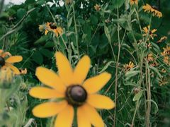 -北仑森林植物园