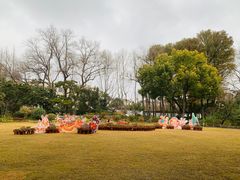 -上海醉白池公园
