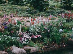 -上海共青森林公园