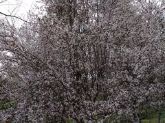 -合肥三国新城遗址公园