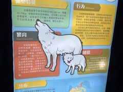 -上海海昌海洋公园-冰山北极馆